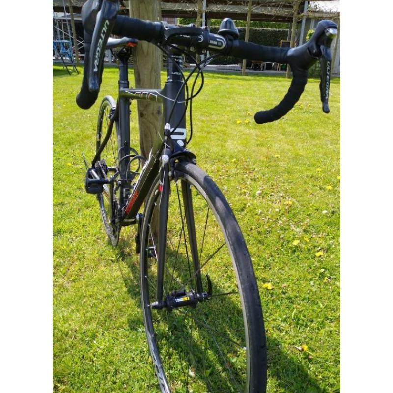 Racefiets full carbon Ridley Orion mt 52 (S)