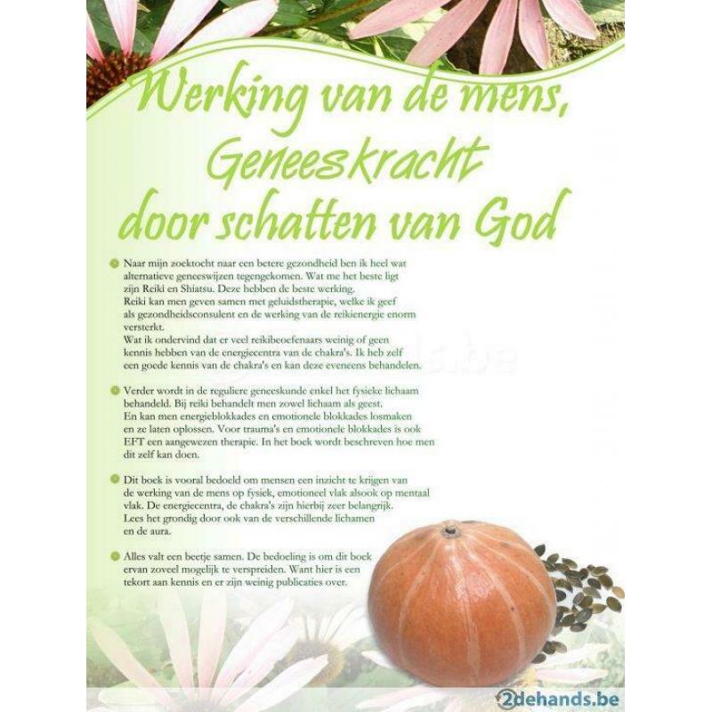 eboek Werking van de mens, Geneeskracht door schatten van God